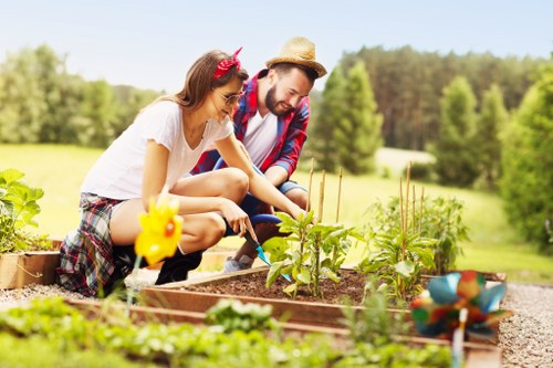 Seasonal lawn maintenance in a Stroud Green property