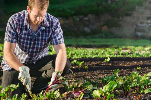 Local gardeners improving a Stroud Green front garden