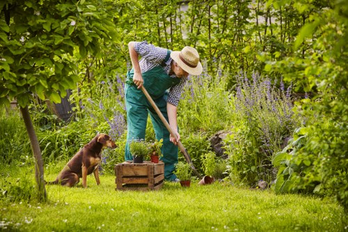 A well-kept urban garden in Stroud Green with flowers and shrubs