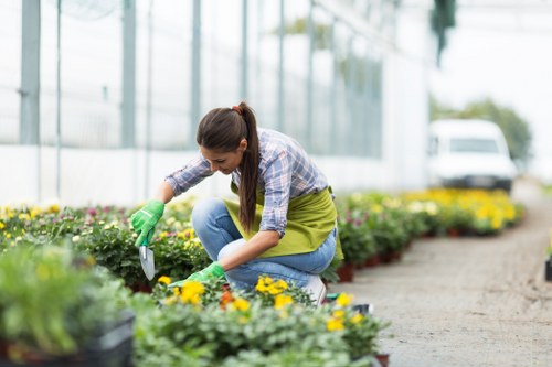 Healthy lawn care in Stroud Green with neatly maintained grass