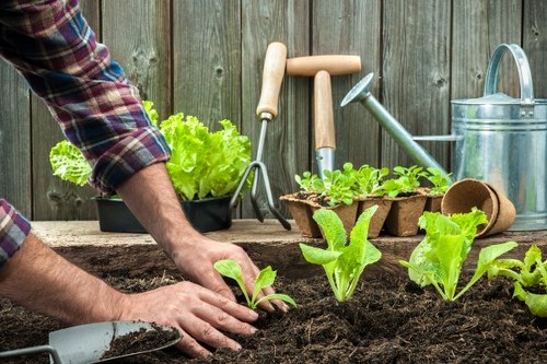 Illustration representing accessible gardening services in Stroud Green