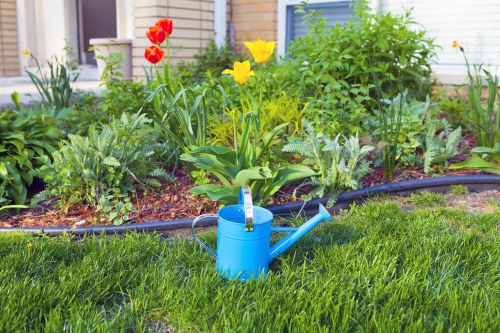 Seasonal planting and tidy outdoor space in Stroud Green