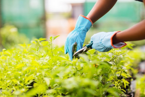 Transparent pricing for Gardeners Stroud Green