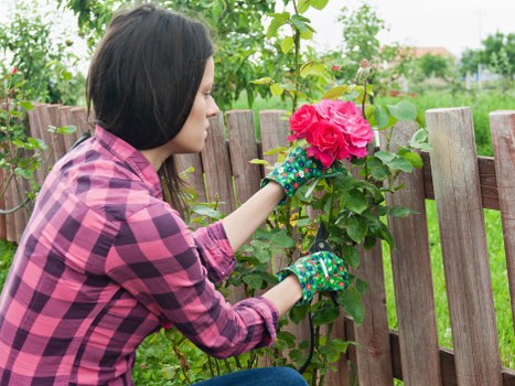 Low-carbon van used for sustainable garden maintenance