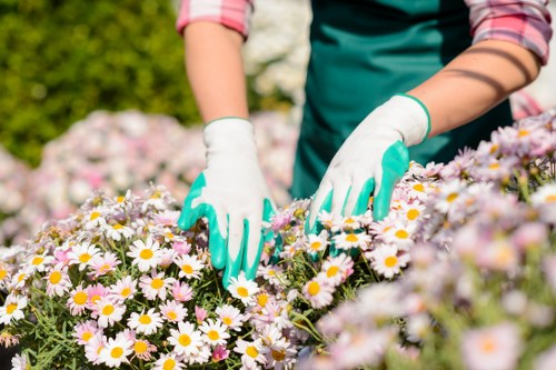Insured Gardeners Stroud Green providing safe and professional outdoor care