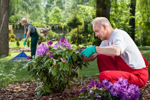 Reviewing a gardener complaint and possible resolution