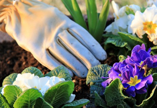 Soft planting and greenery for a Stroud Green garden
