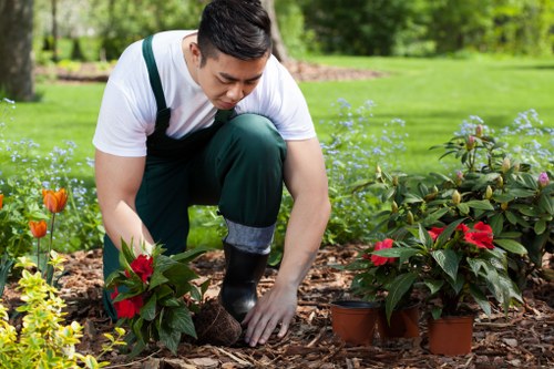 Health and safety checks for gardening tasks and equipment