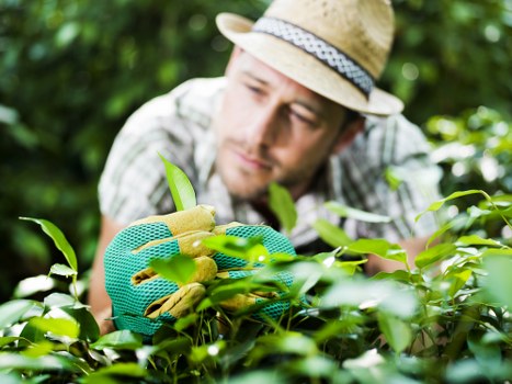 Free quote policy for local garden services