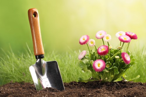 Garden hedge cutting to improve shape and kerb appeal