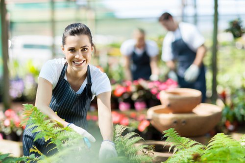 Hedge trimming and lawn care in Stroud Green