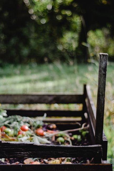 A weathered wooden garden bed with visible grain and some peeling paint contains a mixture of fallen leaves, small tomatoes, and other garden debris, suggesting recent garden maintenance or harvesting